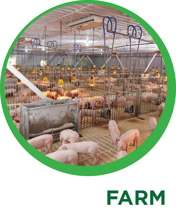 tacn-farm