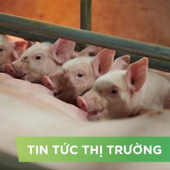ĐIỂM TIN NỔI BẬT THÁNG 8/2024