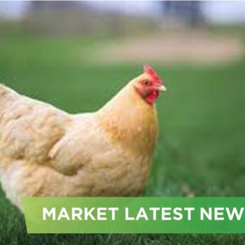 NEWS HEADLINES OF SEPTEMBER 2024