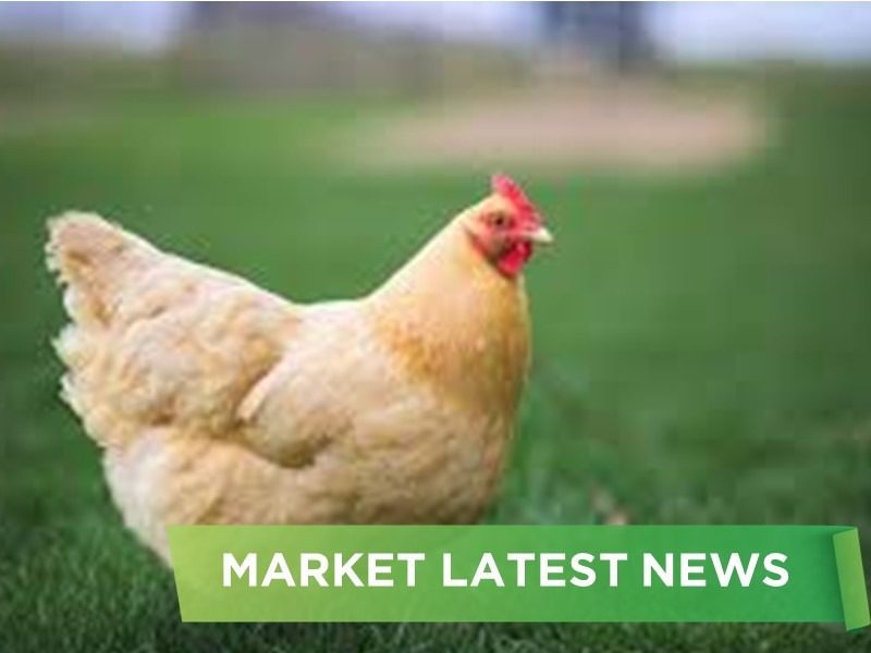 NEWS HEADLINES OF SEPTEMBER 2024