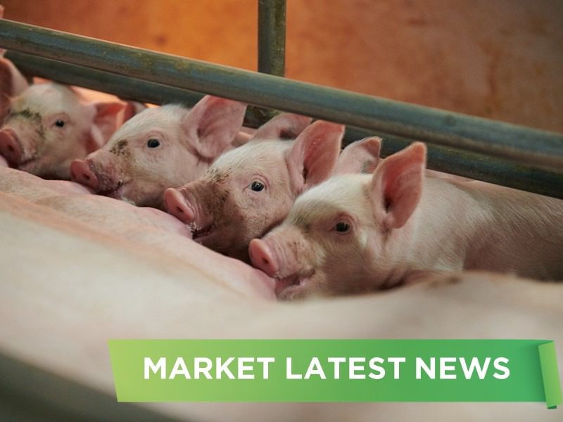 NEWS HEADLINES OF FEBRUARY 2025