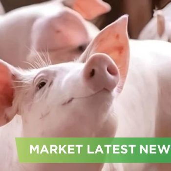 NEWS HEADLINES OF JANUARY 2025