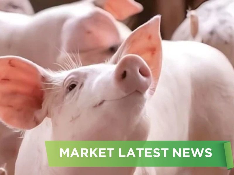 NEWS HEADLINES OF OCTOBER 2024