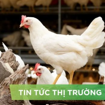 ĐIỂM TIN NỔI BẬT THÁNG 08/2025