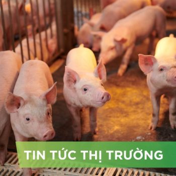 ĐIỂM TIN NỔI BẬT THÁNG 09/2025