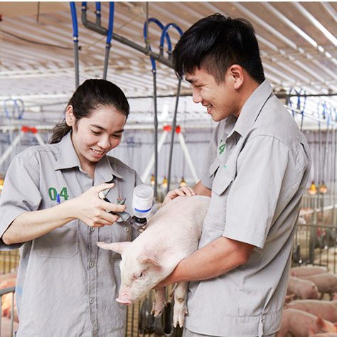 Sản phẩm thú y