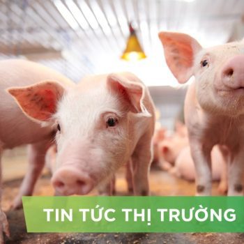 ĐIỂM TIN NỔI BẬT THÁNG 12/2025