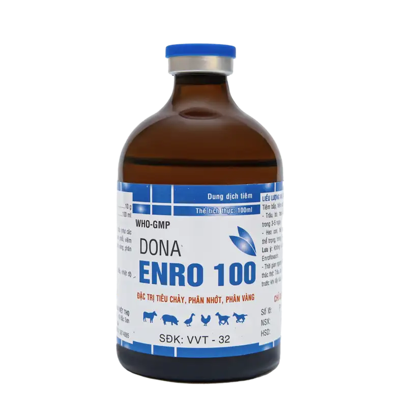 DONA ENRO 100