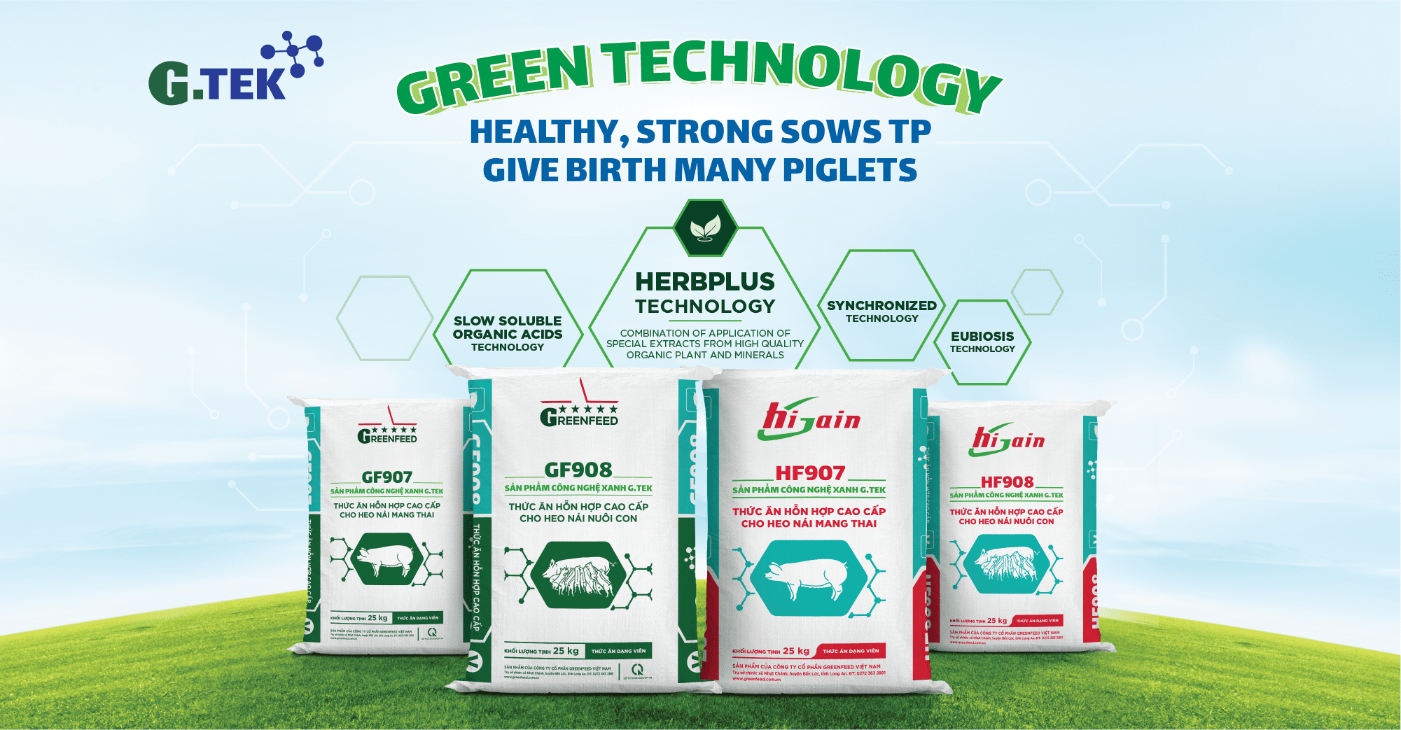 GREEN TECHNOLOGY - HEALTHY, STRONG SOWS TP GIVE BIRTH MANY PIGLETS