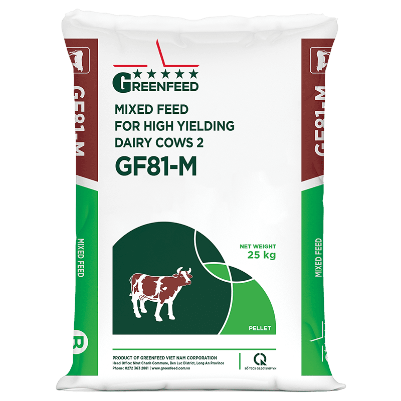 Mixed feed for high yielding dairy cows 2 (GF81-M)