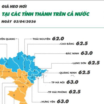 Cập nhật giá ngày 03/04/2026 các sản phẩm chăn nuôi hôm nay