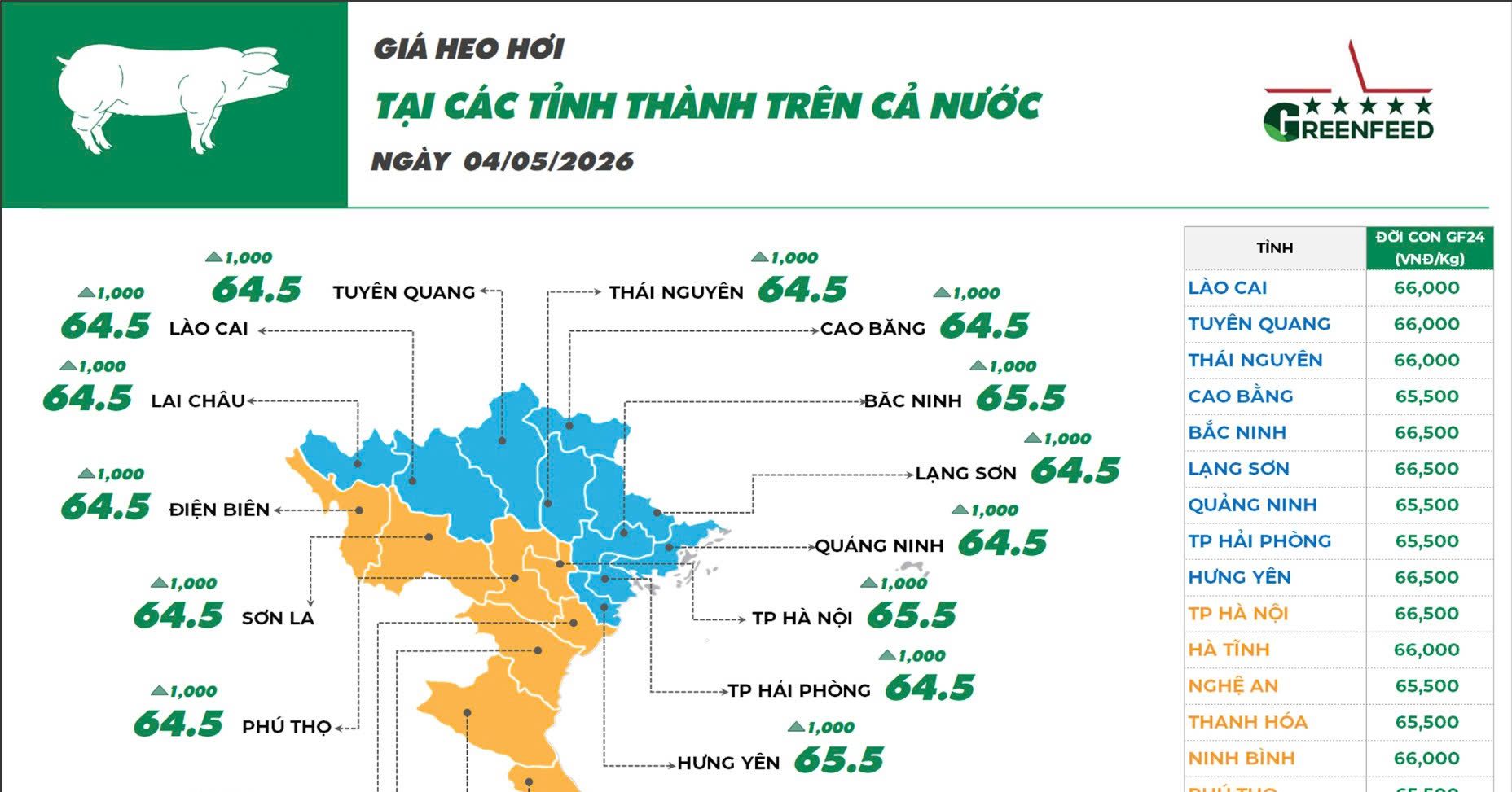 GIÁ HEO HƠI NGÀY 04/05/2026