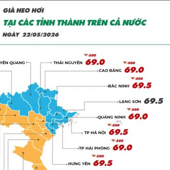 Ngày 22/05/2026 giá heo hơi giảm nhẹ