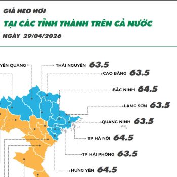 GIÁ HEO HƠI NGÀY 29/04/2026