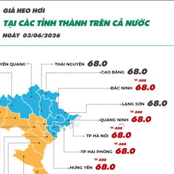 On June 3rd, 2026, pork prices continued to record a slight decrease, while Minh Du chicken prices continued to increase