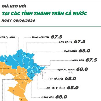 Ngày 08/06/2026 giá heo hơi  ghi nhận giảm