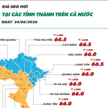 Ngày 24/06/2026 giá heo hơi tiếp tục xu hướng giảm, giá gia cầm ghi nhận diễn biến phân hóa giữa các dòng sản phẩm