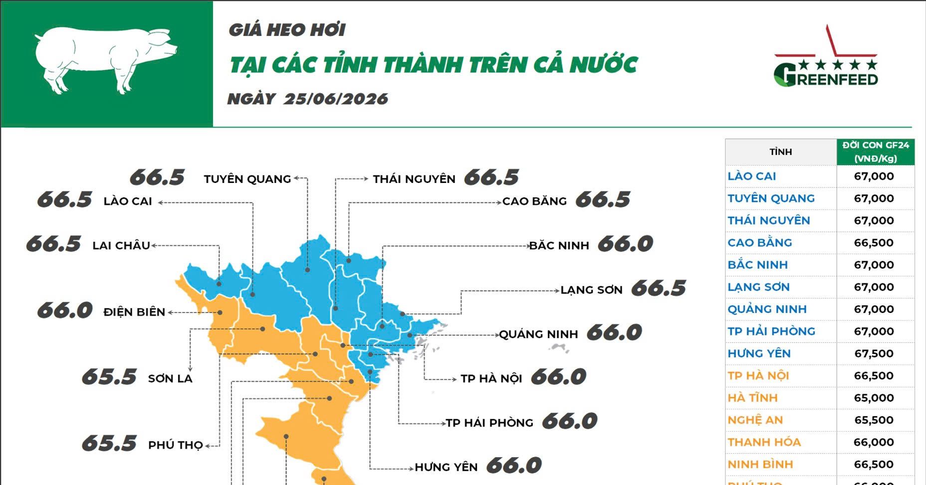 Ngày 25/06/2026 giá heo hơi duy trì ổn định