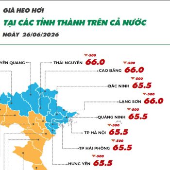 Ngày 26/06/2026 giá heo hơi tiếp tục xu hướng giảm nhẹ, giá gà mía nhìn chung ổn định